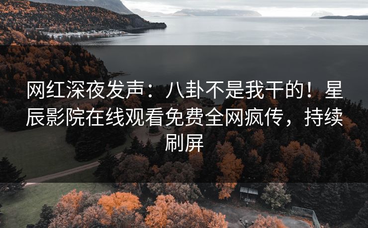 网红深夜发声：八卦不是我干的！星辰影院在线观看免费全网疯传，持续刷屏
